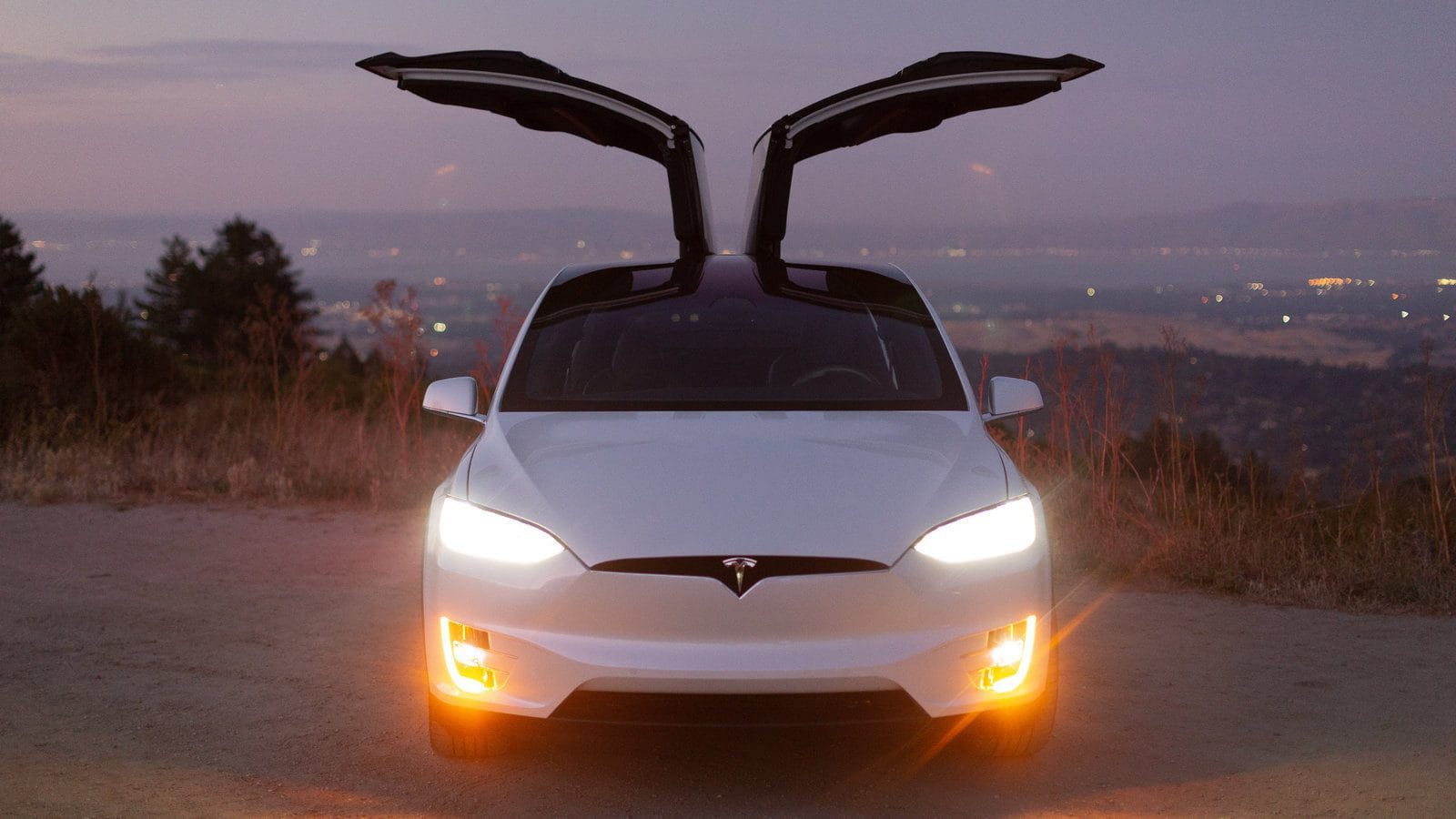 Bride and groom arriving at a wedding venue in a silver Tesla Model X with Falcon Wing doors open in Dance Mode, surrounded by cheering guests.